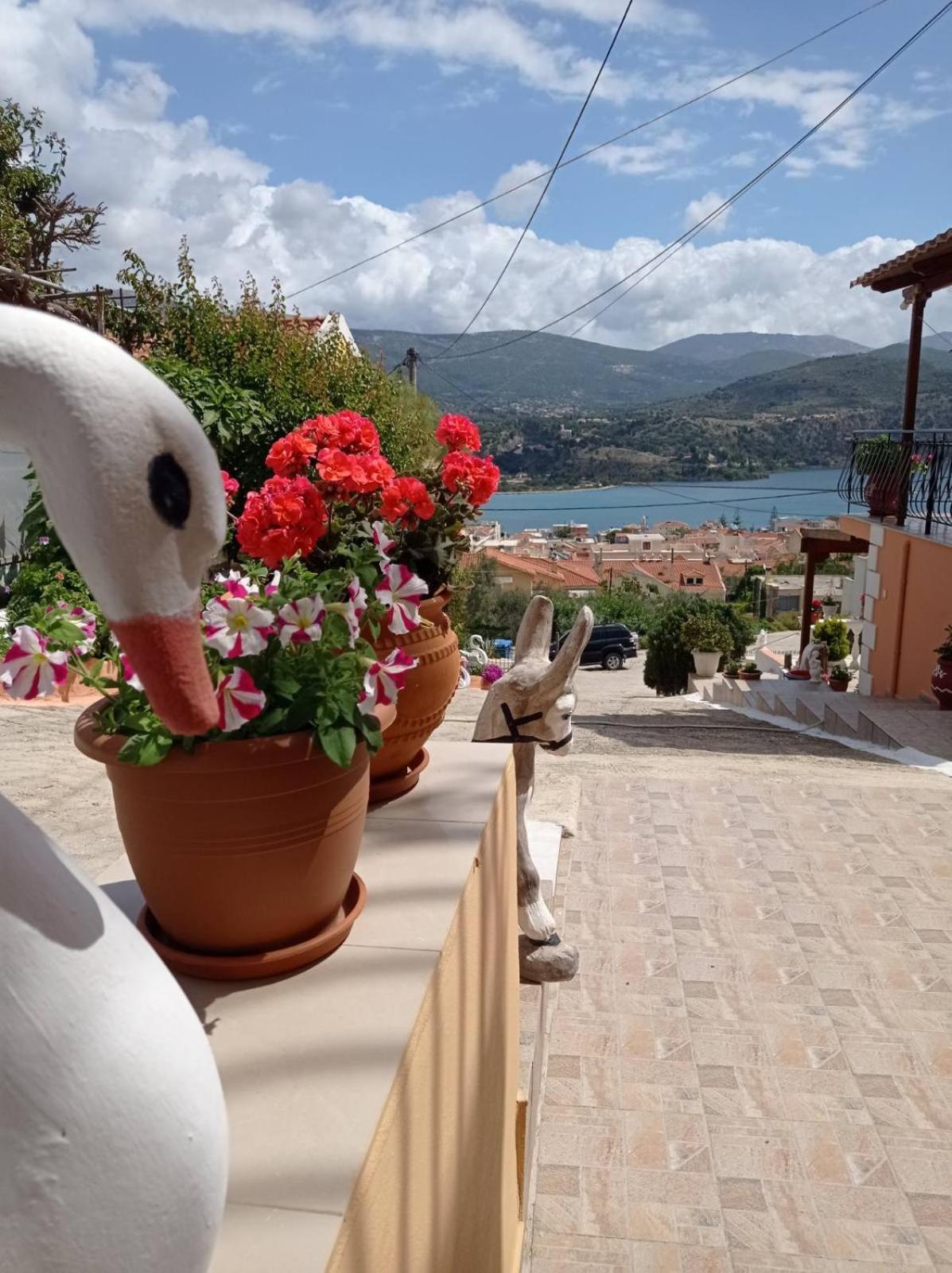 Elenh House Apartman Argosztóli Kültér fotó