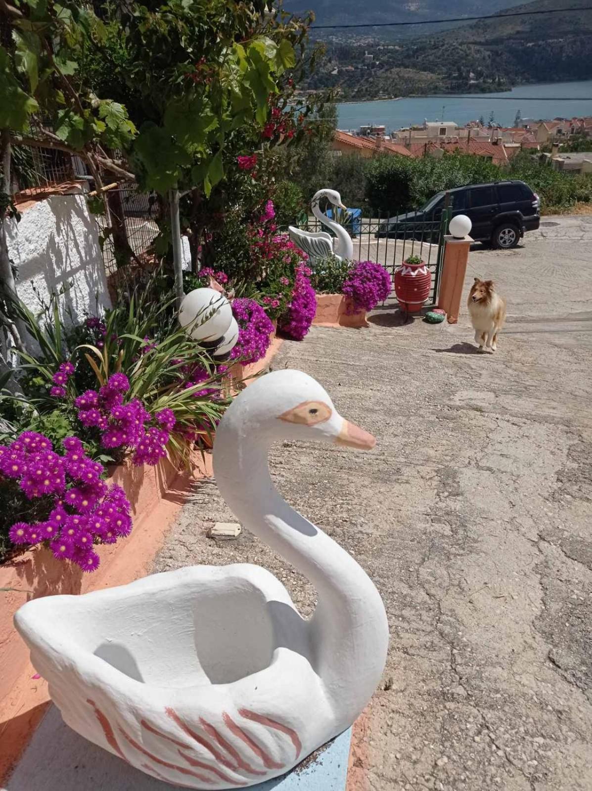 Elenh House Apartman Argosztóli Kültér fotó