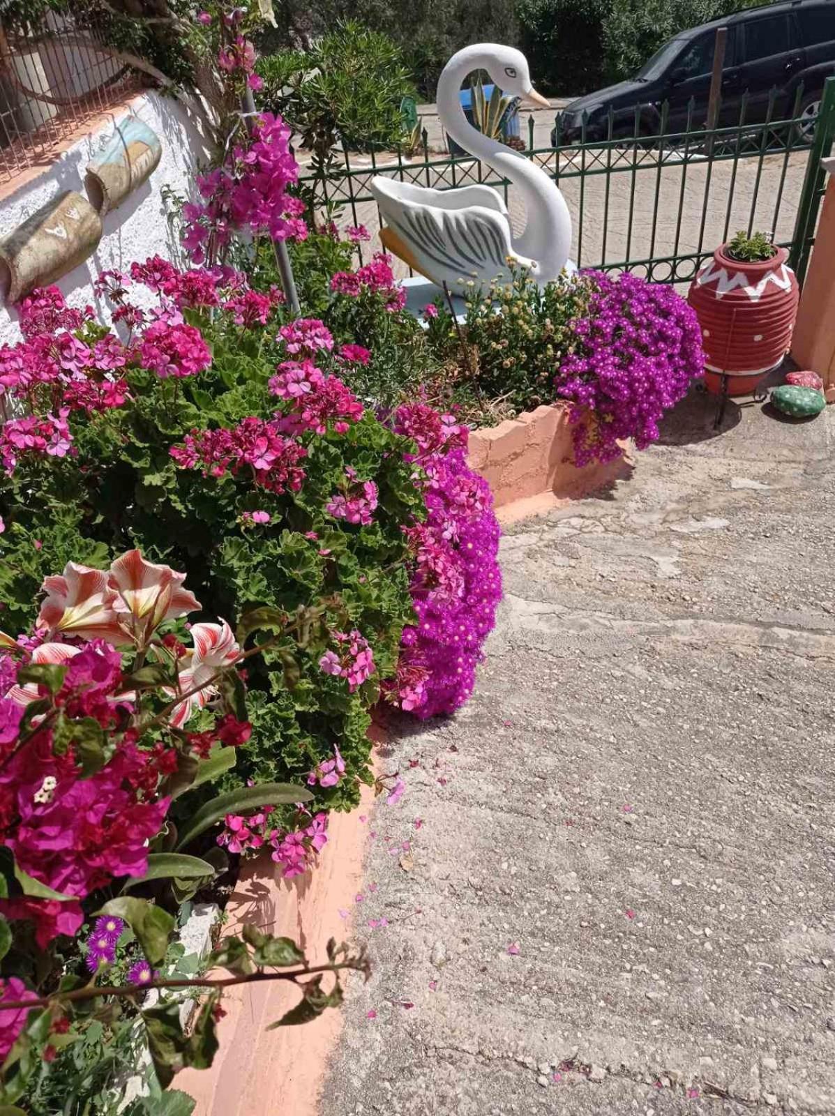 Elenh House Apartman Argosztóli Kültér fotó